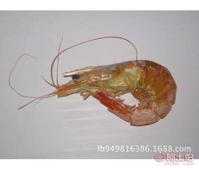 魯濱海產(chǎn)工廠直營(yíng) 產(chǎn)地批發(fā)優(yōu)質(zhì)蝦類(lèi)干制品